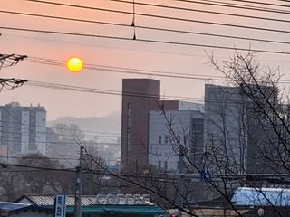 MSG0074님의 자유주제 · 자유게시판 작성글 사진