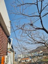 김용대님의 자유주제·자유게시판 작성글 사진