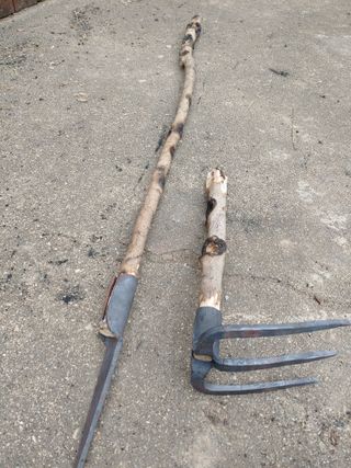 이현상님의 자유주제 · 자유게시판 작성글 사진