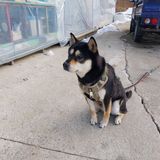 팜모닝 자유주제·자유게시판 게시글 이미지