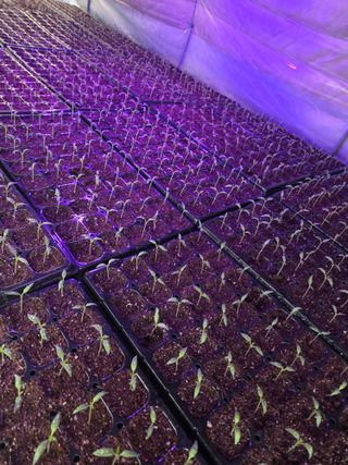 김경호님의 자유주제 · 자유게시판 작성글 사진