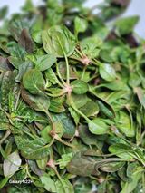 송아지님의 자유주제·자유게시판 작성글 사진