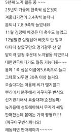 팜모닝 자유주제·자유게시판 게시글 이미지