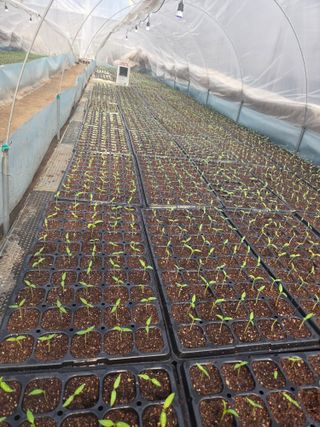 김경호님의 자유주제 · 자유게시판 작성글 사진