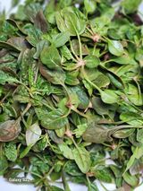 송아지님의 자유주제·자유게시판 작성글 사진