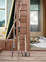 팜모닝 자유주제·자유게시판 게시글 이미지