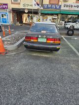 팜모닝 자유주제·자유게시판 게시글 이미지