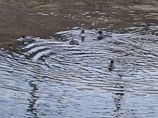 MSG0074님의 자유주제 · 자유게시판 작성글 사진