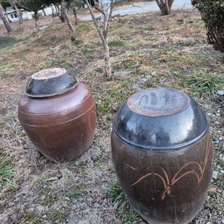 독고다이님의 작성글 사진