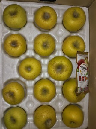 김태혁님의 자유주제 · 자유게시판 작성글 사진