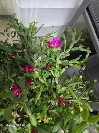 소병찬님의 농사, 무엇이든 물어보세요! · 참여글 작성글 사진