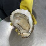 팜모닝 자유주제·자유게시판 게시글 이미지