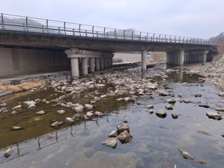 MSG0074님의 자유주제 · 자유게시판 작성글 사진