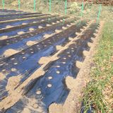 이창화님의 자유주제·자유게시판 작성글 사진