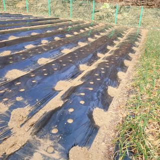 이창화님의 자유주제 · 자유게시판 작성글 사진