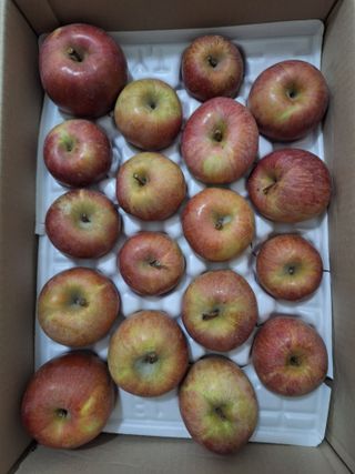 김용환님의 자유주제 · 자유게시판 작성글 사진