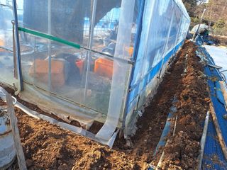 김용환님의 자유주제 · 자유게시판 작성글 사진