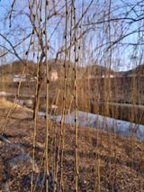 MSG0074님의 자유주제·자유게시판 작성글 사진