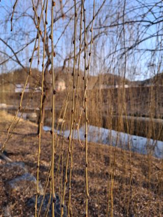 MSG0074님의 자유주제 · 자유게시판 작성글 사진