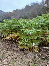 팜모닝 자유주제·자유게시판 게시글 이미지