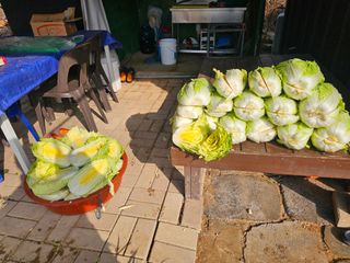 연모 자연의행복님의 자유주제 · 자유게시판 작성글 사진