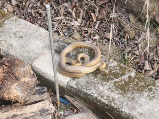 김재현님의 자유주제 · 자유게시판 작성글 사진