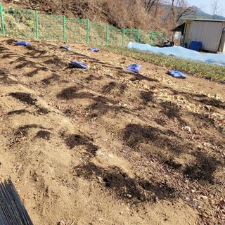 이창화님의 자유주제 · 자유게시판 작성글 사진