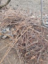 김용대님의 자유주제·자유게시판 작성글 사진