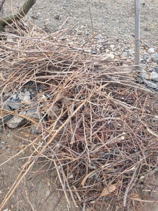 김용대님의 자유주제 · 자유게시판 작성글 사진