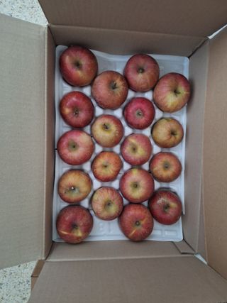 김용환님의 자유주제 · 자유게시판 작성글 사진