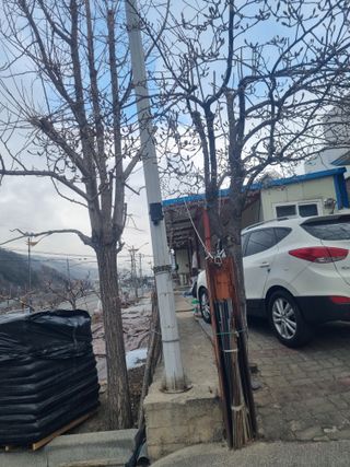 김용대님의 자유주제 · 자유게시판 작성글 사진