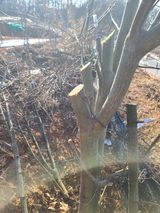 팜모닝 자유주제·자유게시판 게시글 이미지