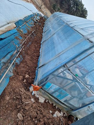 김용환님의 자유주제 · 자유게시판 작성글 사진