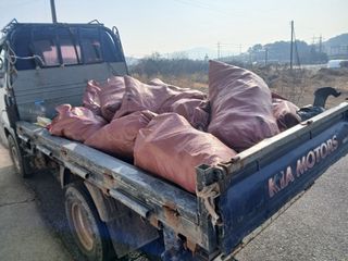 국중선님의 자유주제 · 자유게시판 작성글 사진