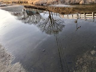 MSG0074님의 자유주제 · 자유게시판 작성글 사진