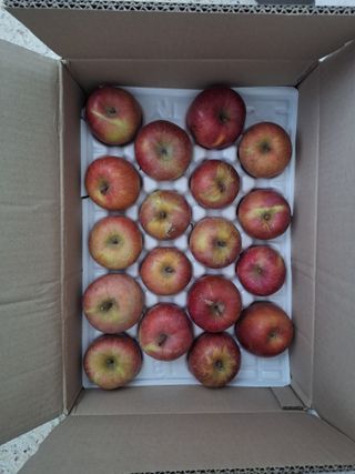 김용환님의 자유주제 · 자유게시판 작성글 사진