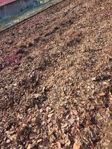 팜모닝 자유주제·자유게시판 게시글 이미지