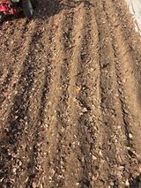 논산상월안정환님의 자유주제·자유게시판 작성글 사진