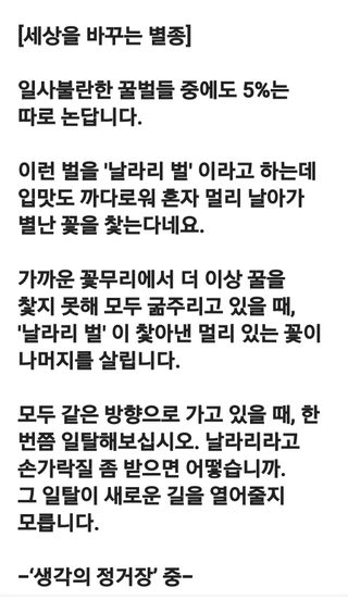 (팽나무*공주)님의 자유주제 · 자유게시판 작성글 사진