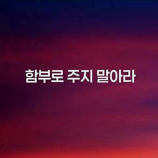 (팽나무*공주)님의 자유주제 · 자유게시판 작성글 사진