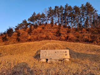 MSG0074님의 자유주제 · 자유게시판 작성글 사진