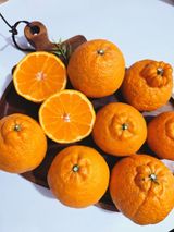 팜모닝 · 게시글 이미지