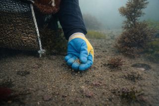 국중선님의 자유주제 · 자유게시판 작성글 사진