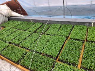 이.일신.꽃분아빠님의 자유주제 · 자유게시판 작성글 사진