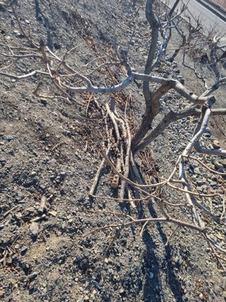 김용대님의 자유주제 · 자유게시판 작성글 사진