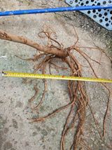 팜모닝 자유주제·자유게시판 게시글 이미지