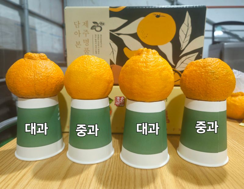 새달귤농장님의 장터 판매 상품 [상품)대.중혼합 9키로  31.000원] 첨부 사진