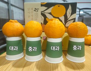 새달귤농장님의 작성글 사진