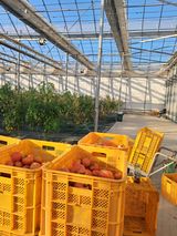 팜모닝 자유주제·자유게시판 게시글 이미지