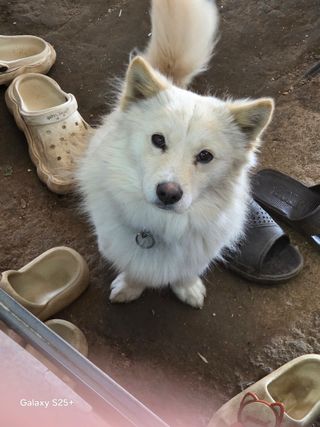 안성화님의 자유주제·자유게시판 작성글 사진